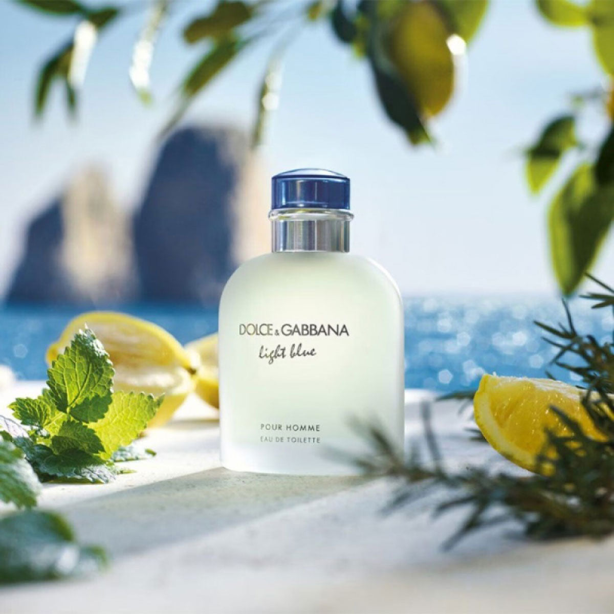 Dolce & Gabbana Light Blue Pour Homme EDT toaletna voda
