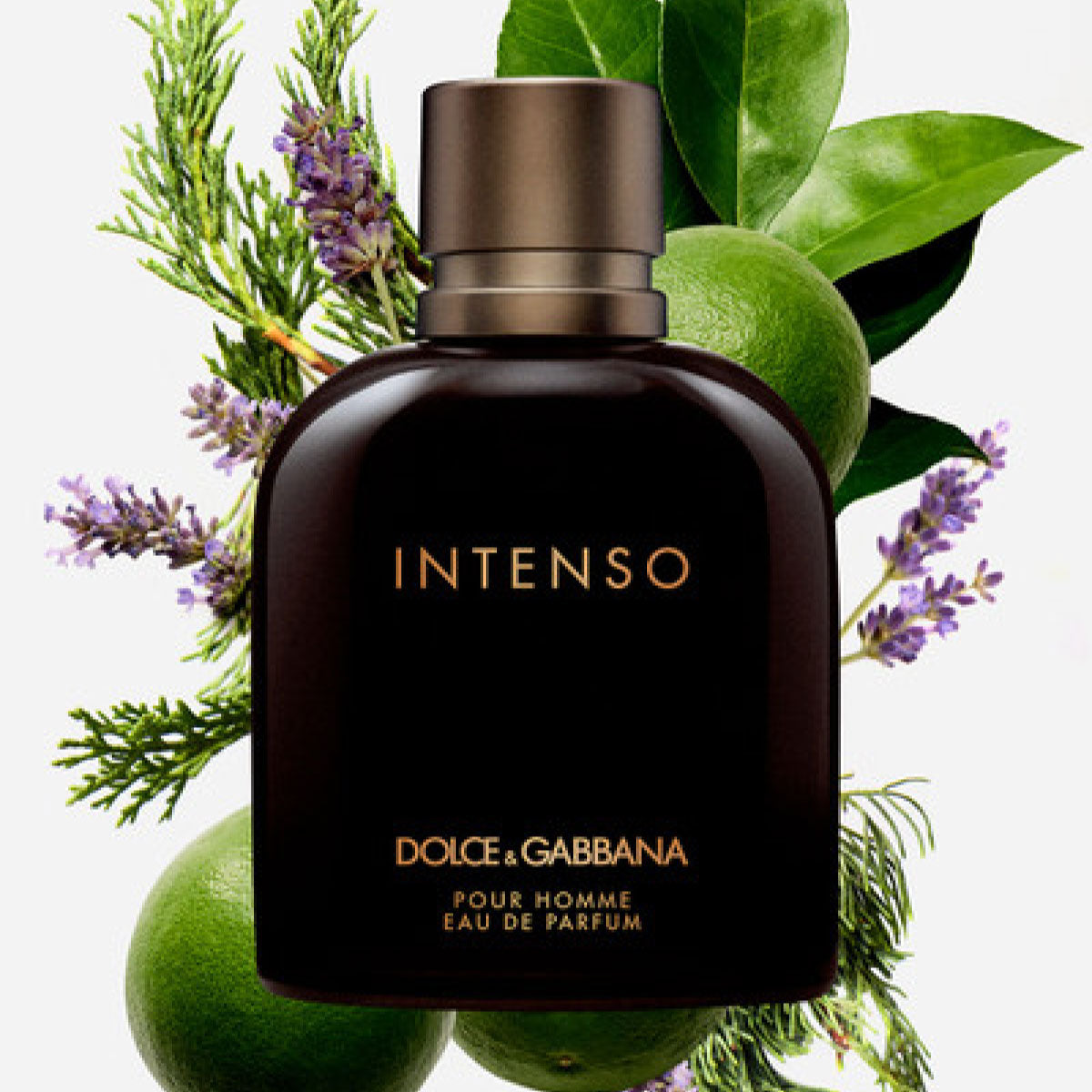 Dolce & Gabbana Pour Homme Intenso EDP parfumska voda 200 ml