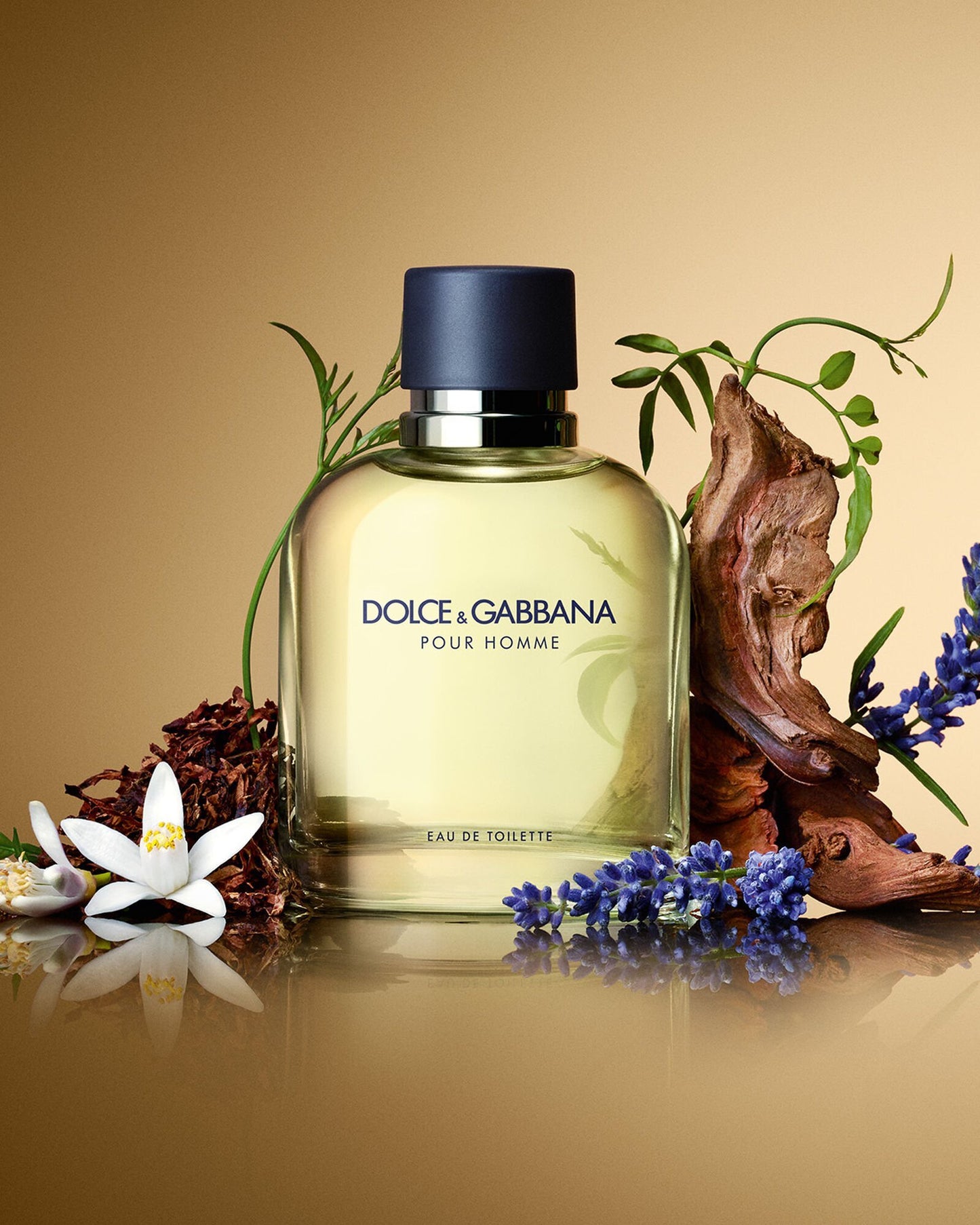 Dolce & Gabbana Pour Homme EDT toaletna voda
